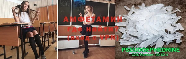 сатива Алзамай