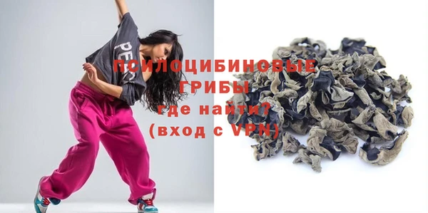 сатива Алзамай