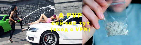 сатива Алзамай