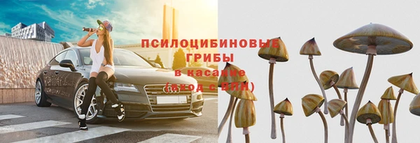 тгк Алексин