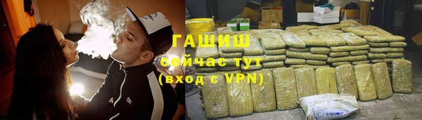 сатива Алзамай