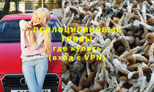 тгк Алексин