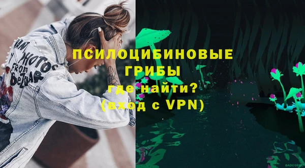 сатива Алзамай