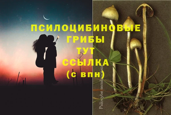 мескалин Алексеевка
