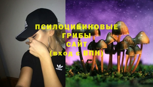 ешки Абдулино