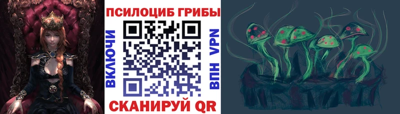 где купить Опочка Галлюциногенные грибы прущие грибы
